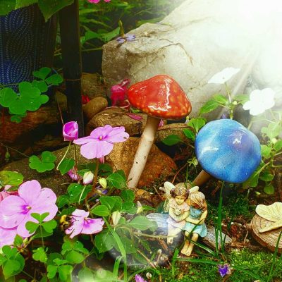 telegram-cloud-photo-size-1-5064736688441068407-y