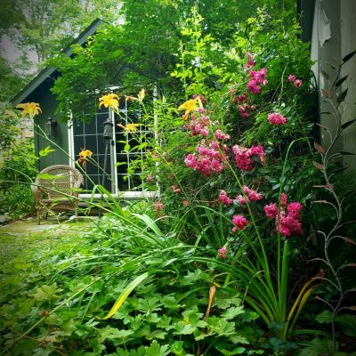 telegram-cloud-photo-size-1-5064736688441068409-y