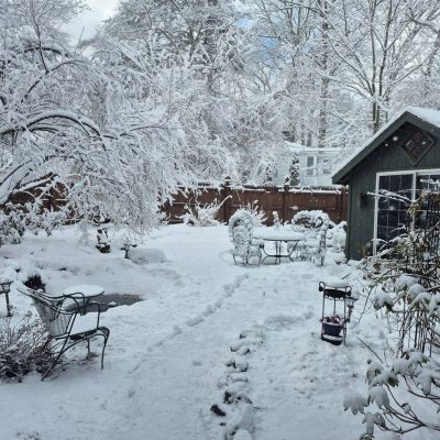 telegram-cloud-photo-size-1-5064736688441068413-y